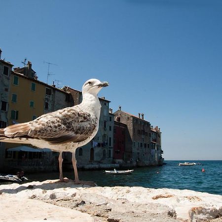 Maximus Apartamento Rovinj Exterior foto