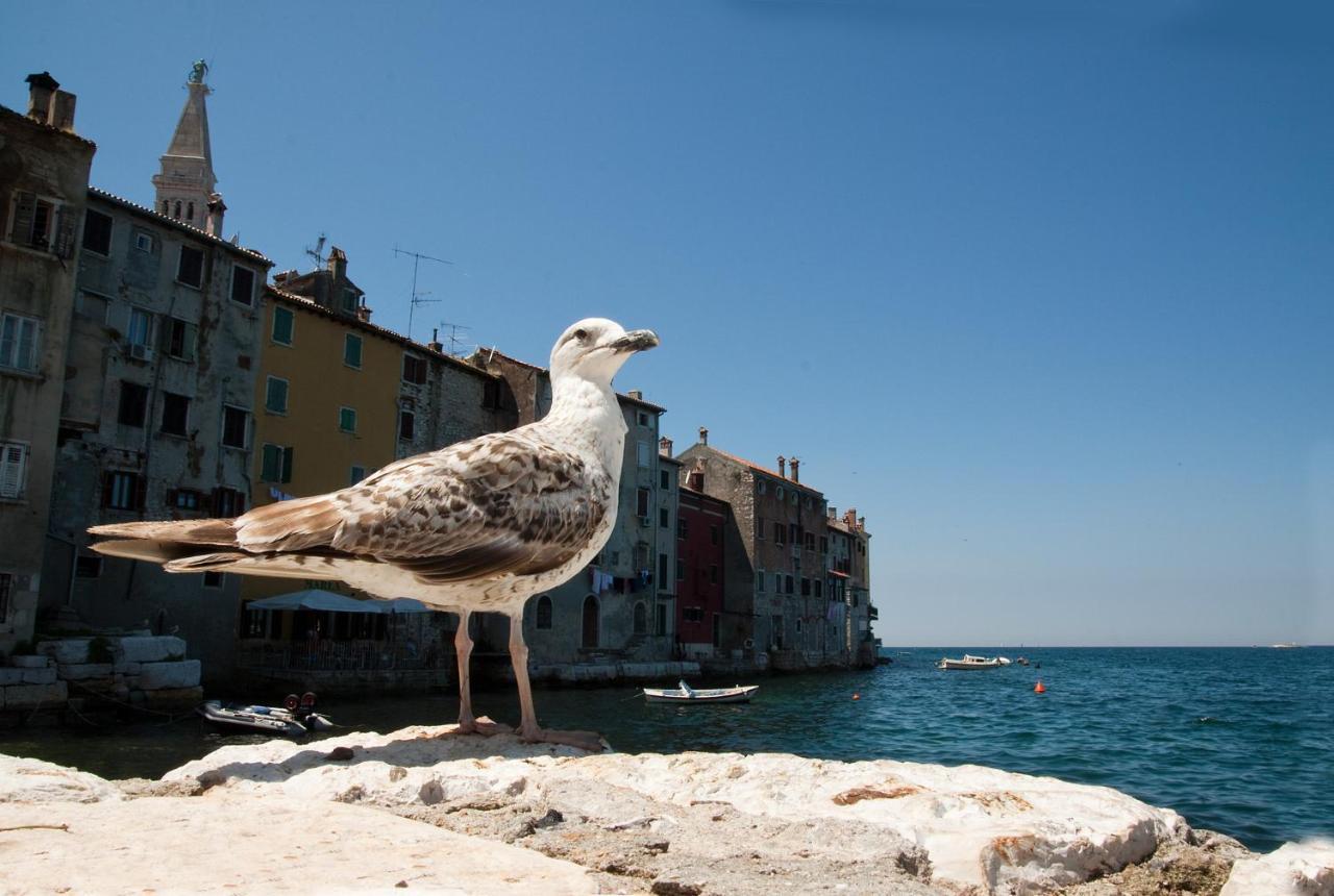 Maximus Apartamento Rovinj Exterior foto